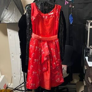 Disney Princess Elena of Avalor costume dress